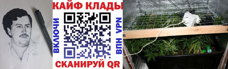 Купить наркотики Павловский Посад АМФ  ГАШИШ  APVP 