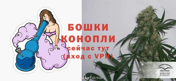 гашик Нефтегорск