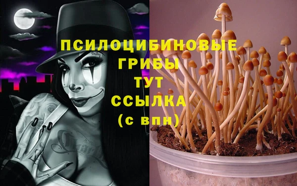 гашик Нефтегорск