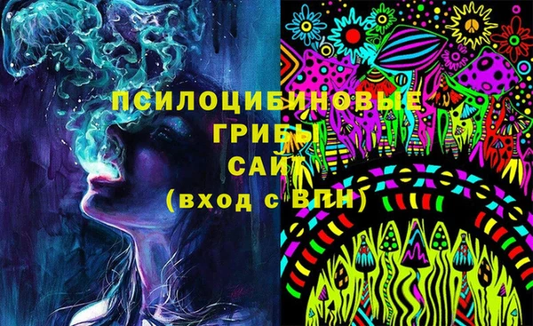 крисы Надым
