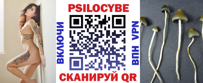 как найти наркотики  Павловский Посад  даркнет клад  Псилоцибиновые грибы мицелий 