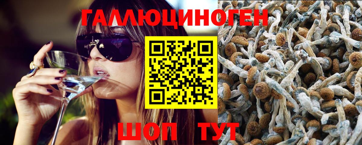 Псилоцибиновые грибы GOLDEN TEACHER  Павловский Посад  Псилоцибиновые грибы Magic Shrooms 