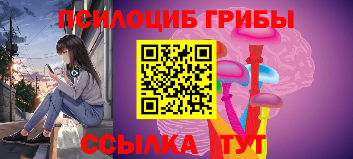 Павловский Посад  Галлюциногенные грибы Magic Shrooms  Вход с VPN 
