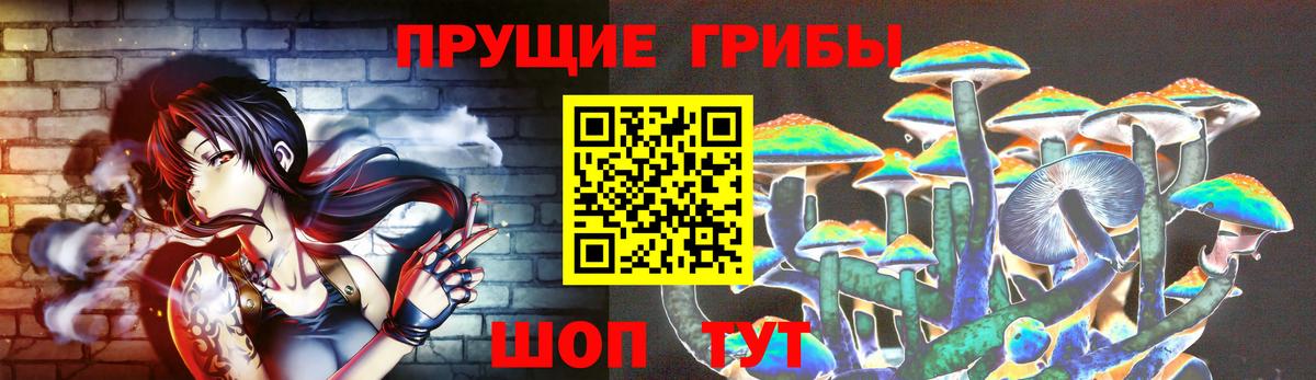 Псилоцибиновые грибы Magic Shrooms Павловский Посад