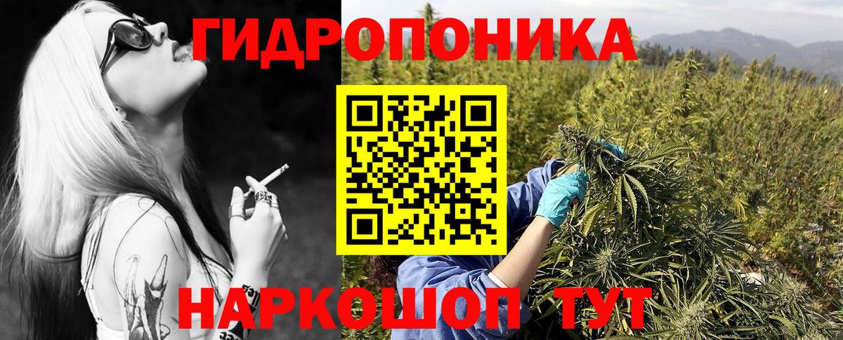 Шишки марихуана планчик Павловский Посад